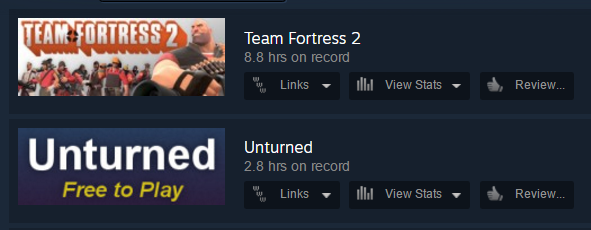 Steam playtime on record