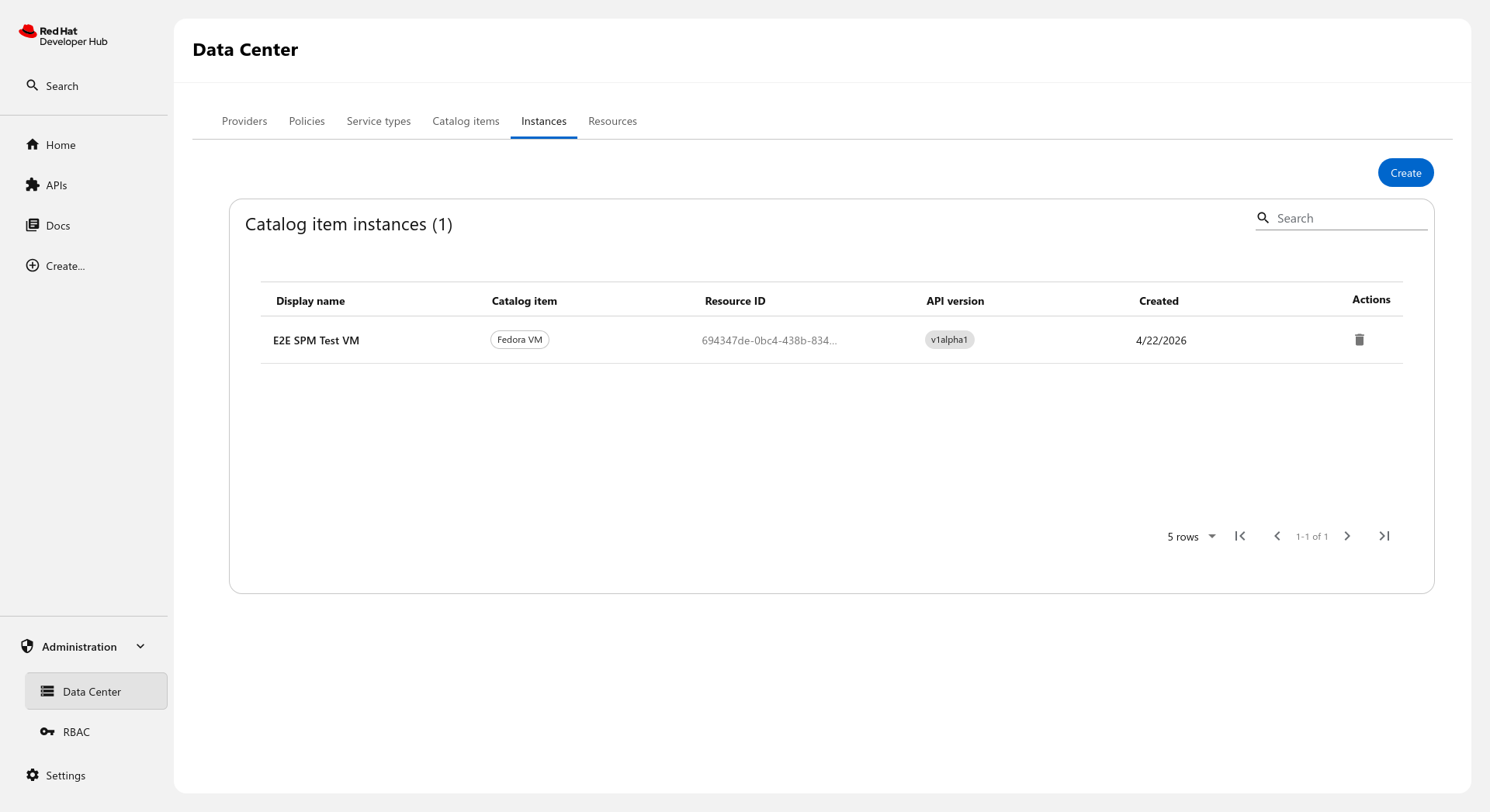 Catalog item instances