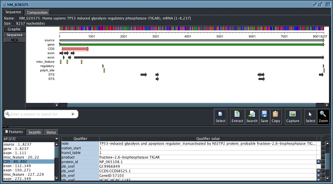 DNA Sequence Viewer