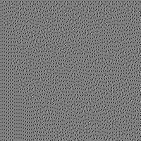 gray77-fs