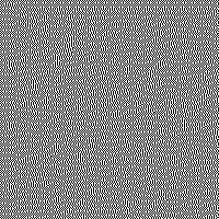 gray88-fs