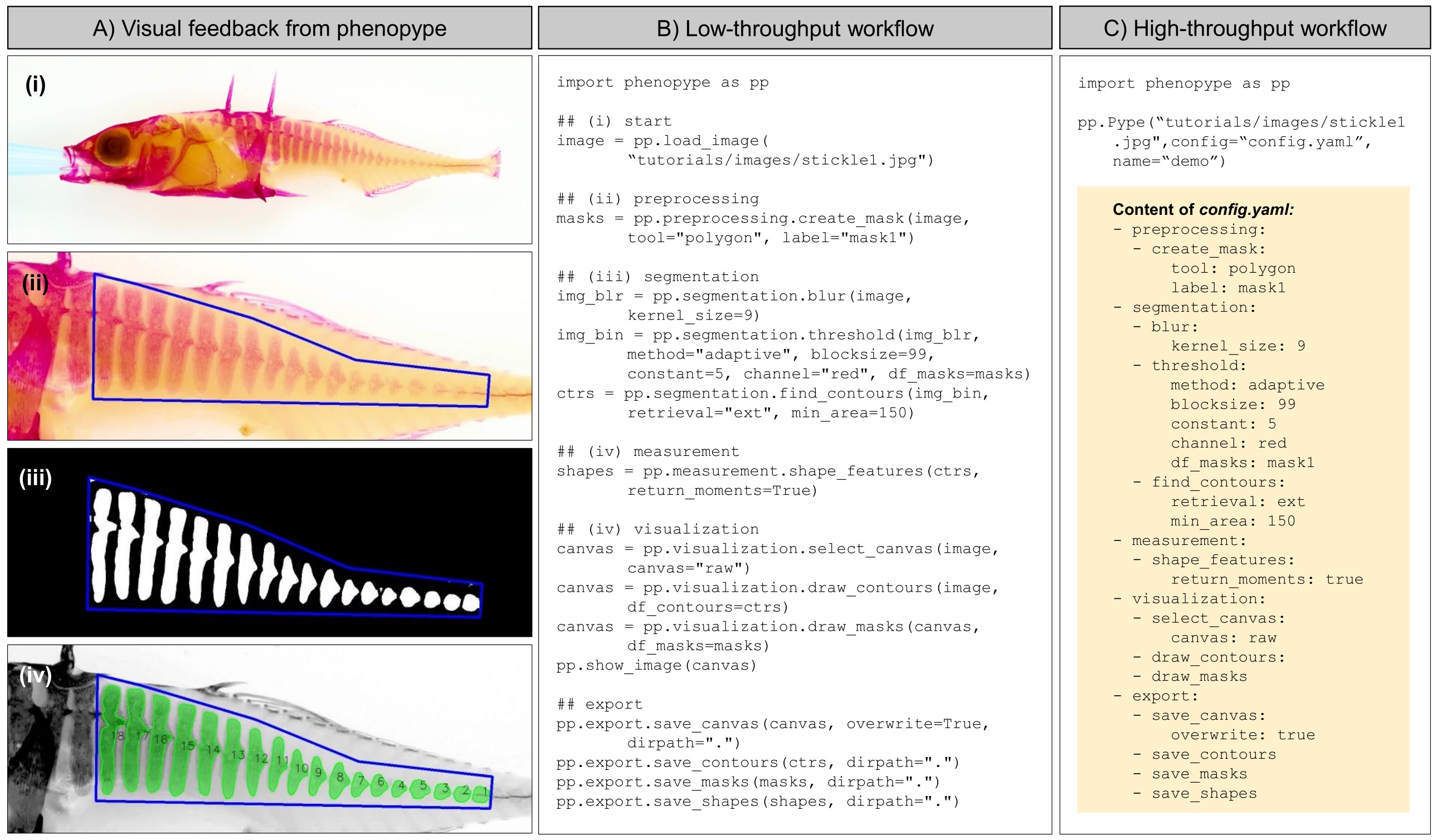 Figure 2 (Lürig 2021)