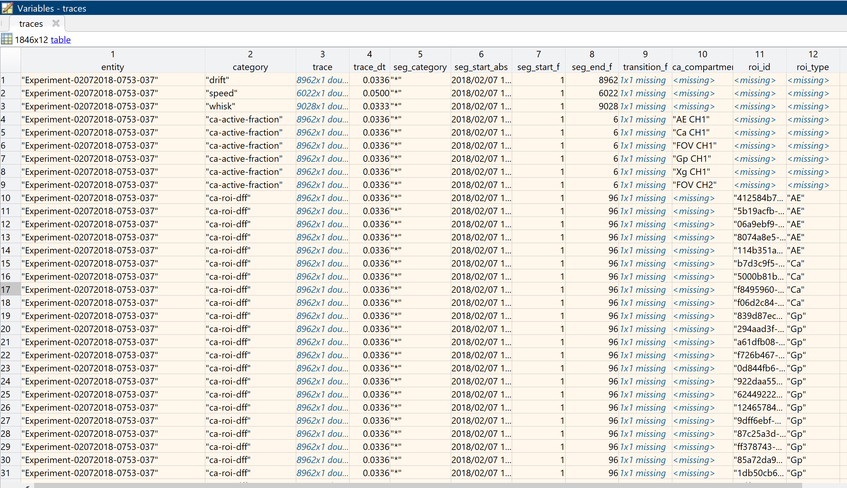 Categorical array for global segmentation