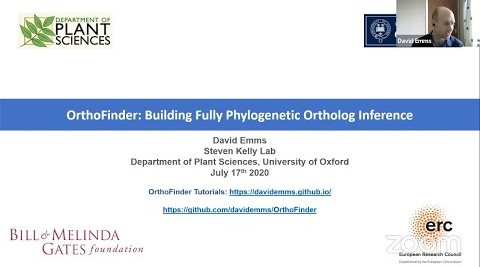 OrthoFinder: Building Fully Phylogenetic Orthology Inference
