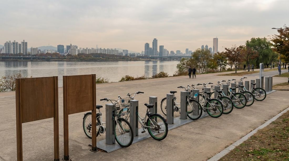 A bike share docking station on a Han River park path with the city skyline behind