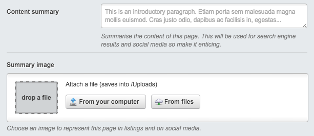 Summary fields