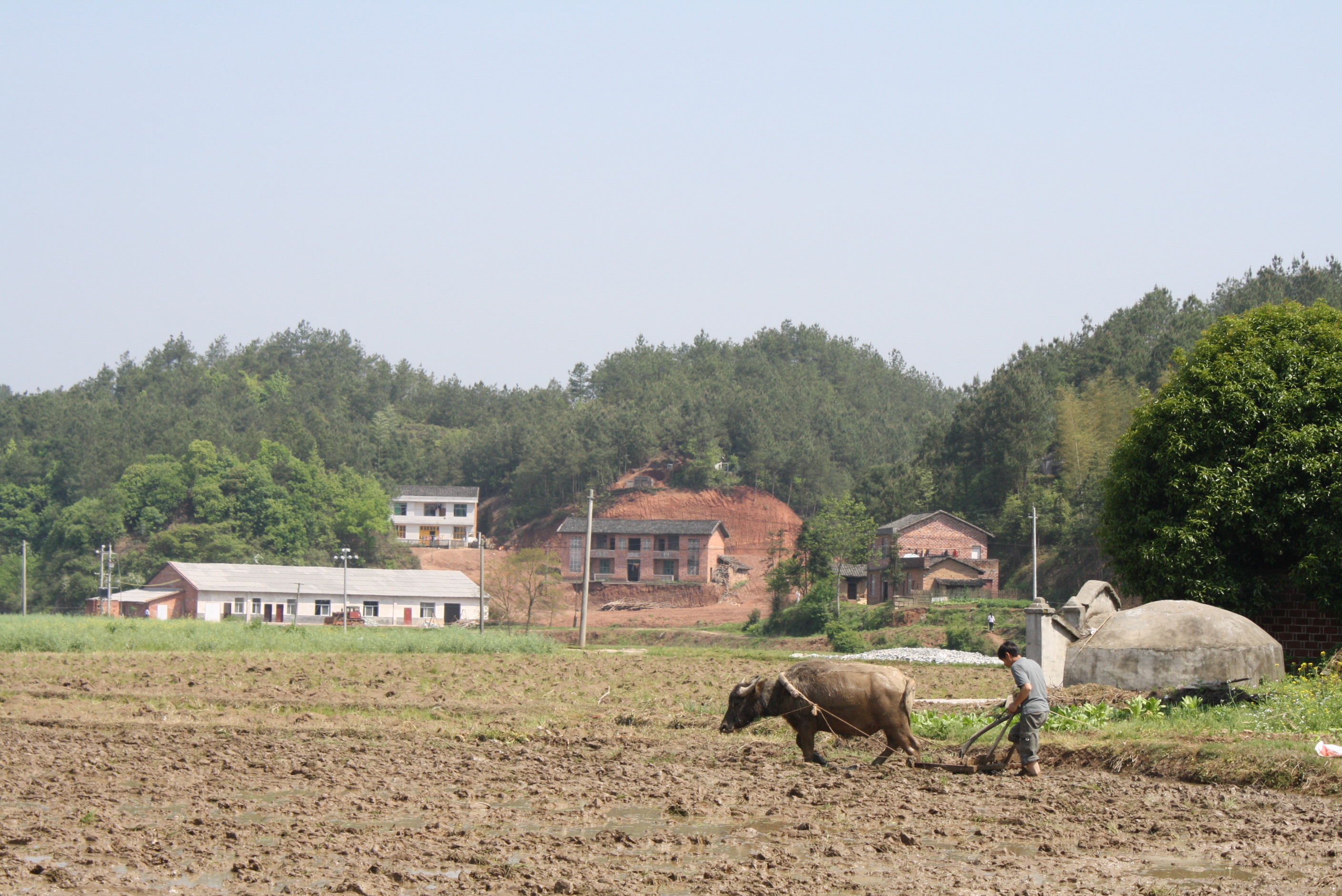 平江农耕风景