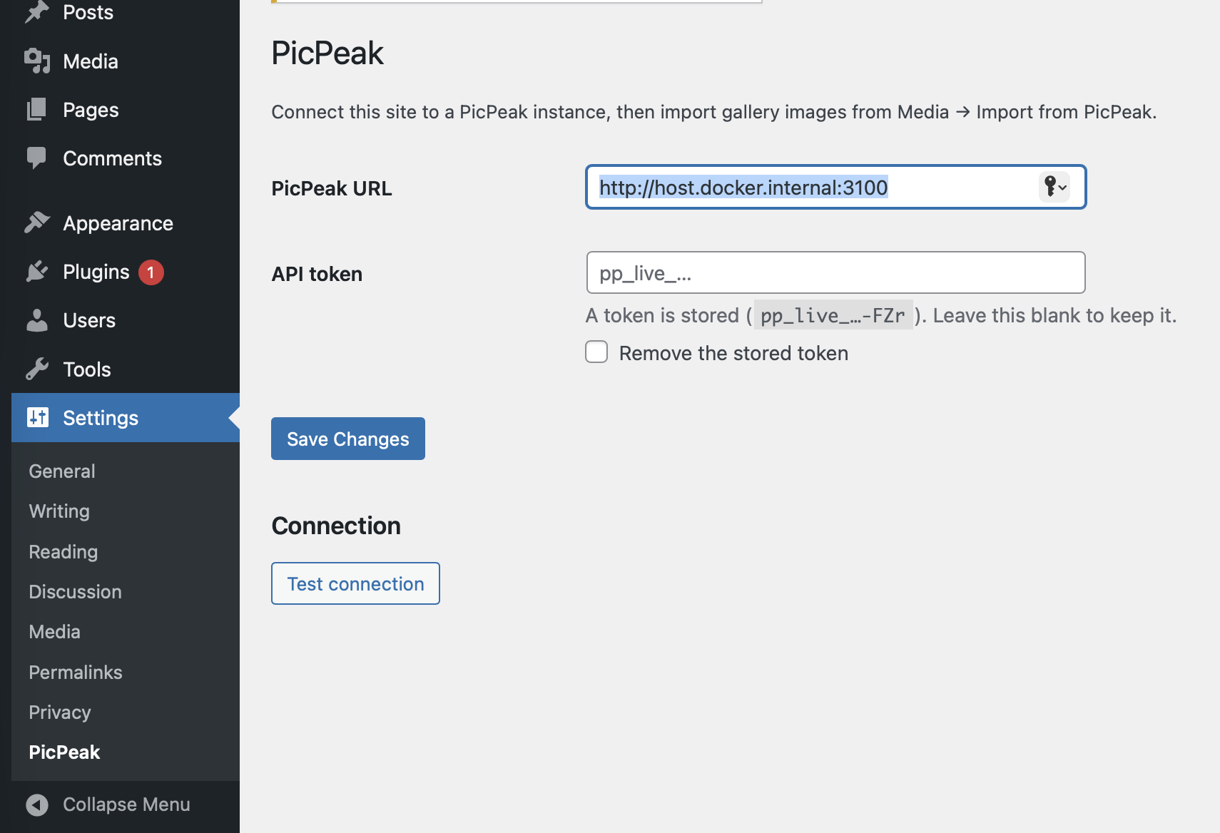 The settings screen, with the instance URL and a stored token