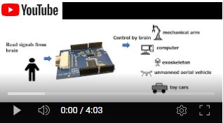 How to measure EEG with ardEEG