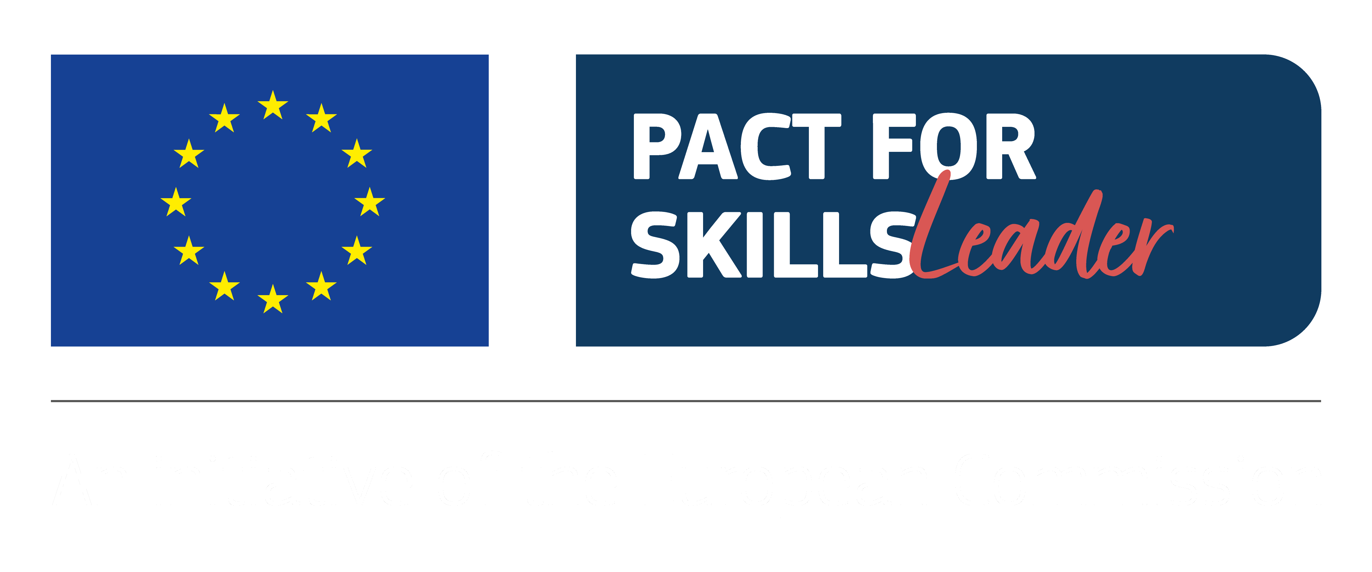 Pact for Skills - European Commission