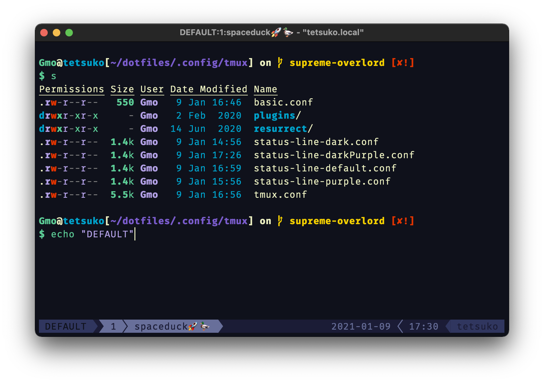 Screenshot of tmux statusline using the dark config