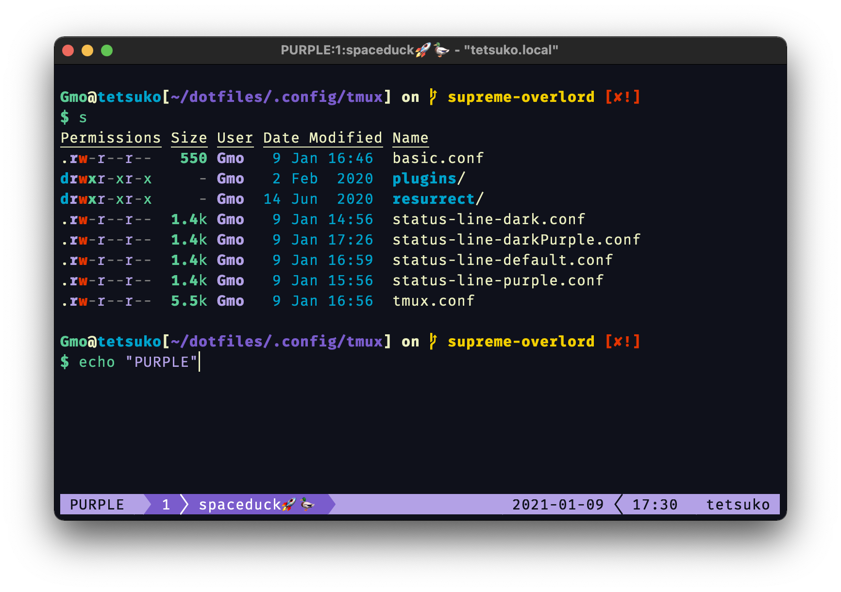 Screenshot of tmux statusline using the purple config