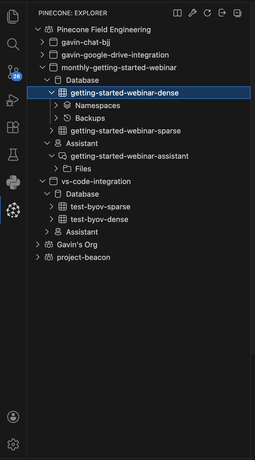 Pinecone Explorer tree overview