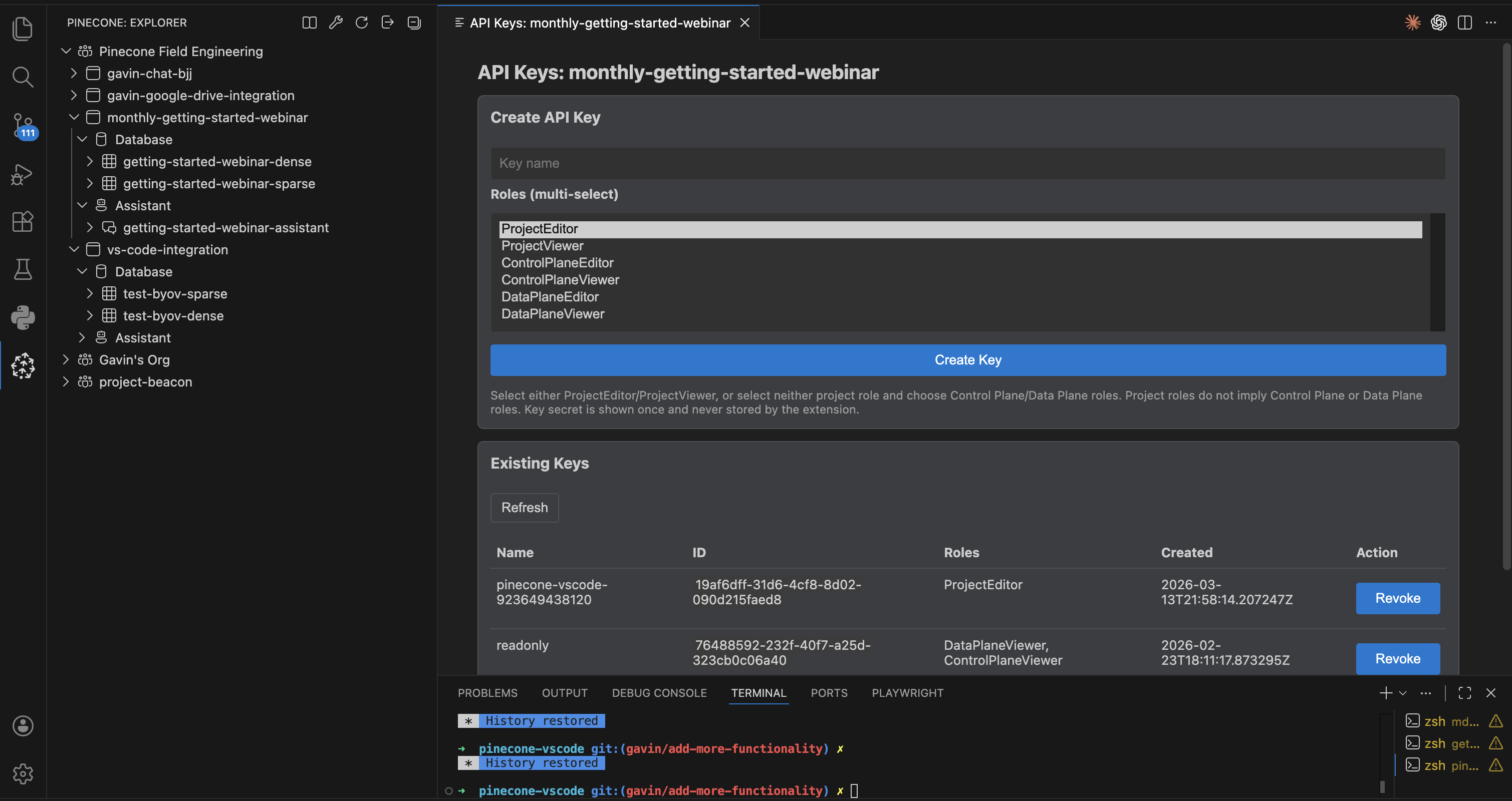 Project API keys panel