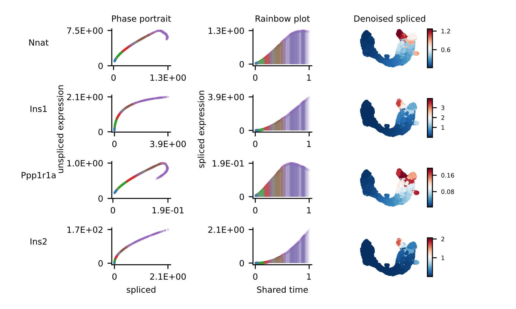 Pancreas vector field uncertainty