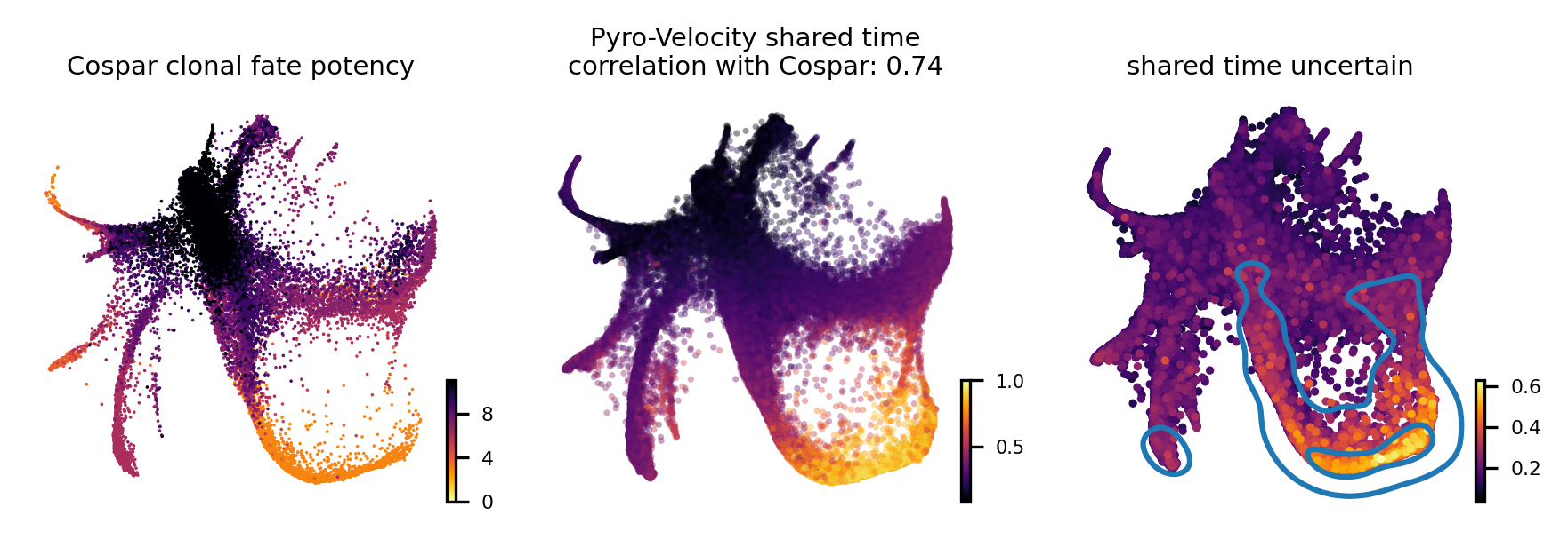 Pancreas shared time uncertainty