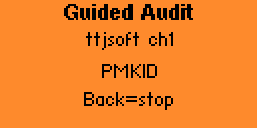 Guided Audit running on Flipper Zero