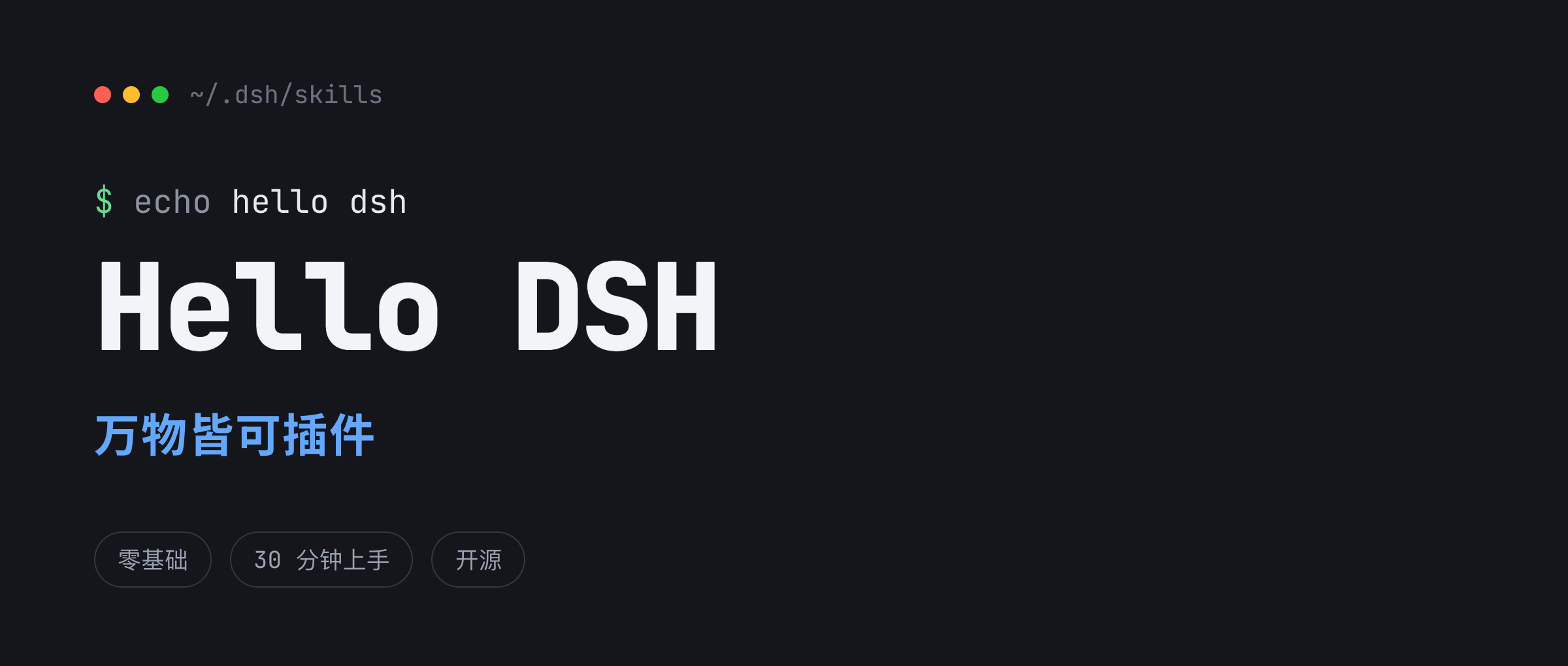 hello-dsh screenshot 1