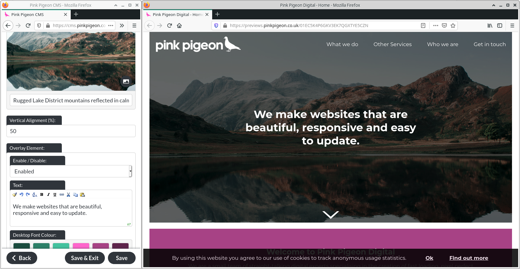 Image of the preview side by side with website builder