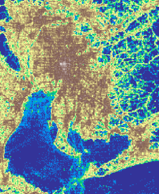 spatial distribution of activity