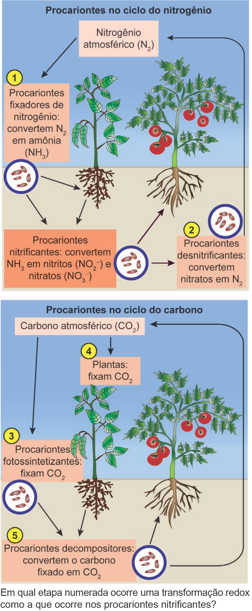 Imagem de apoio da questão 103