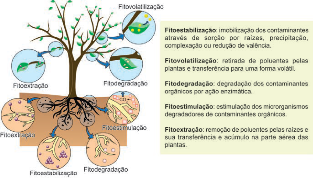 Imagem de apoio da questão 118