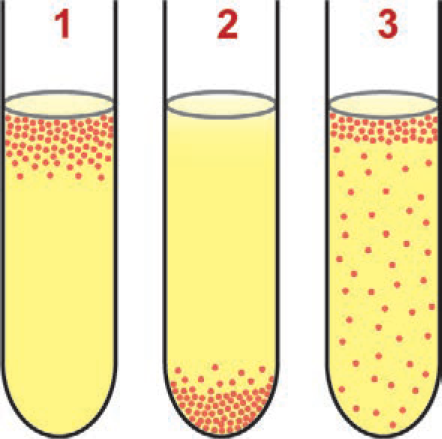 Imagem de apoio da questão 131