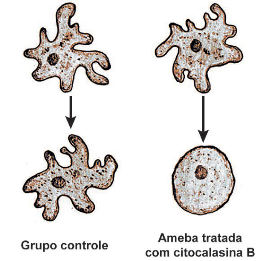 Imagem de apoio da questão 132