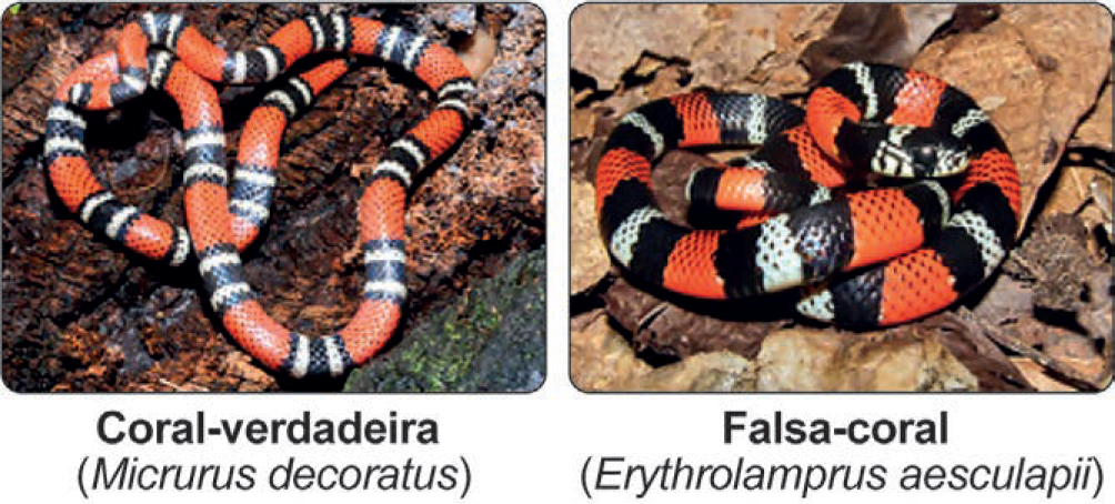 Imagem de apoio da questão 91