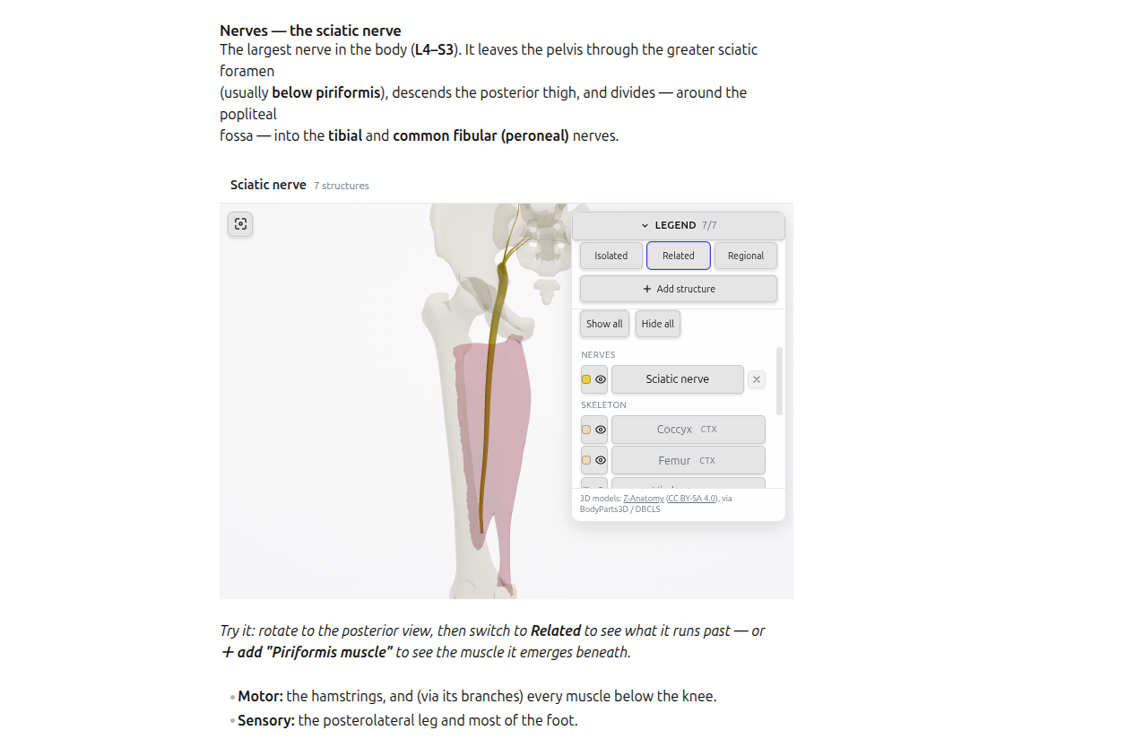 Anatomed: 3D anatomy rendered inline in an Obsidian note
