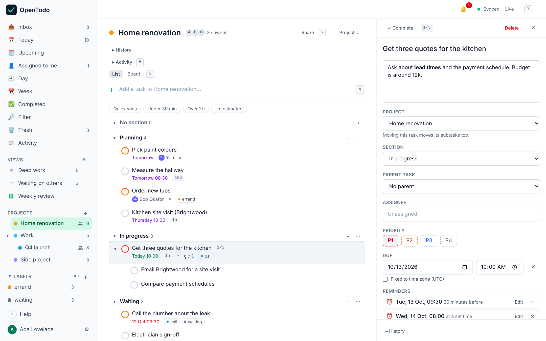 Project view with the task detail panel