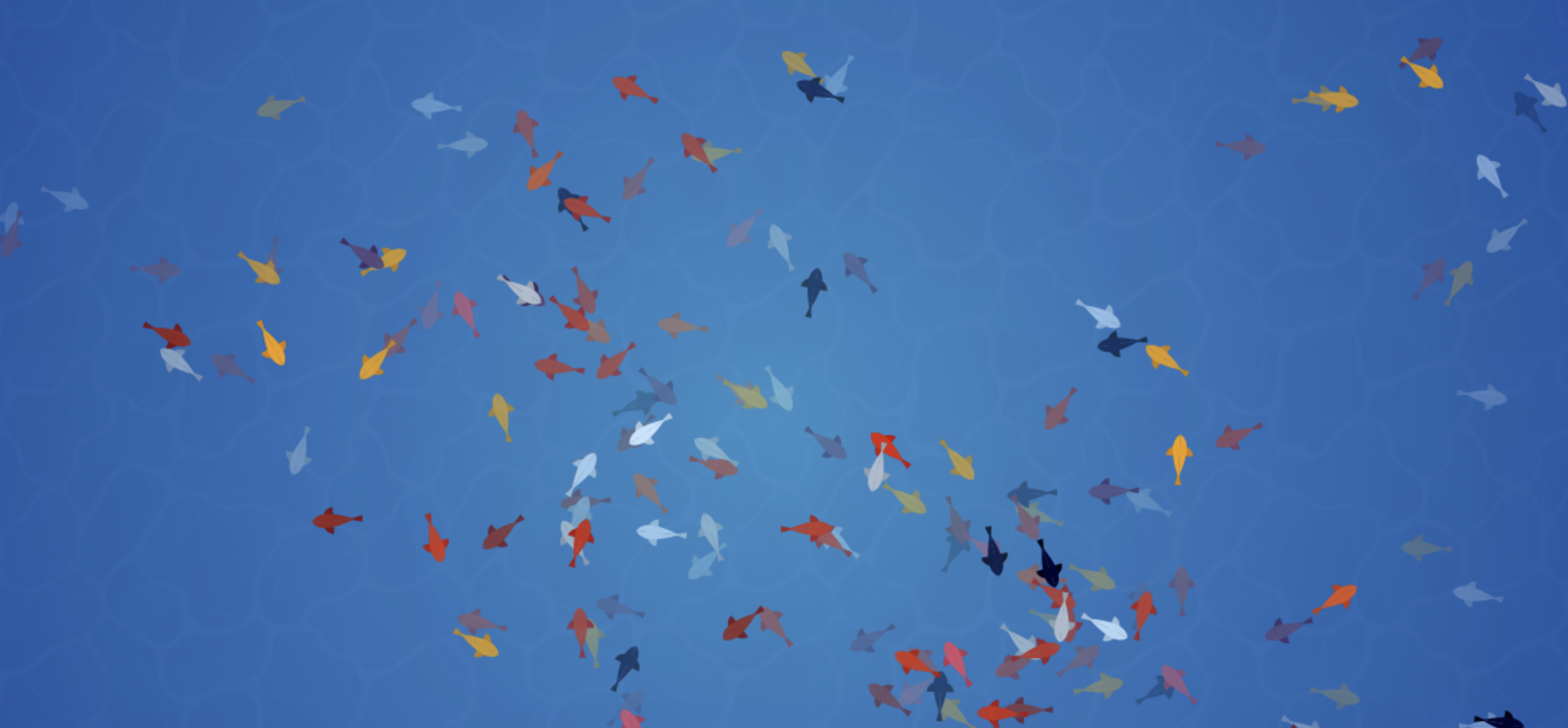 Canvas Animations