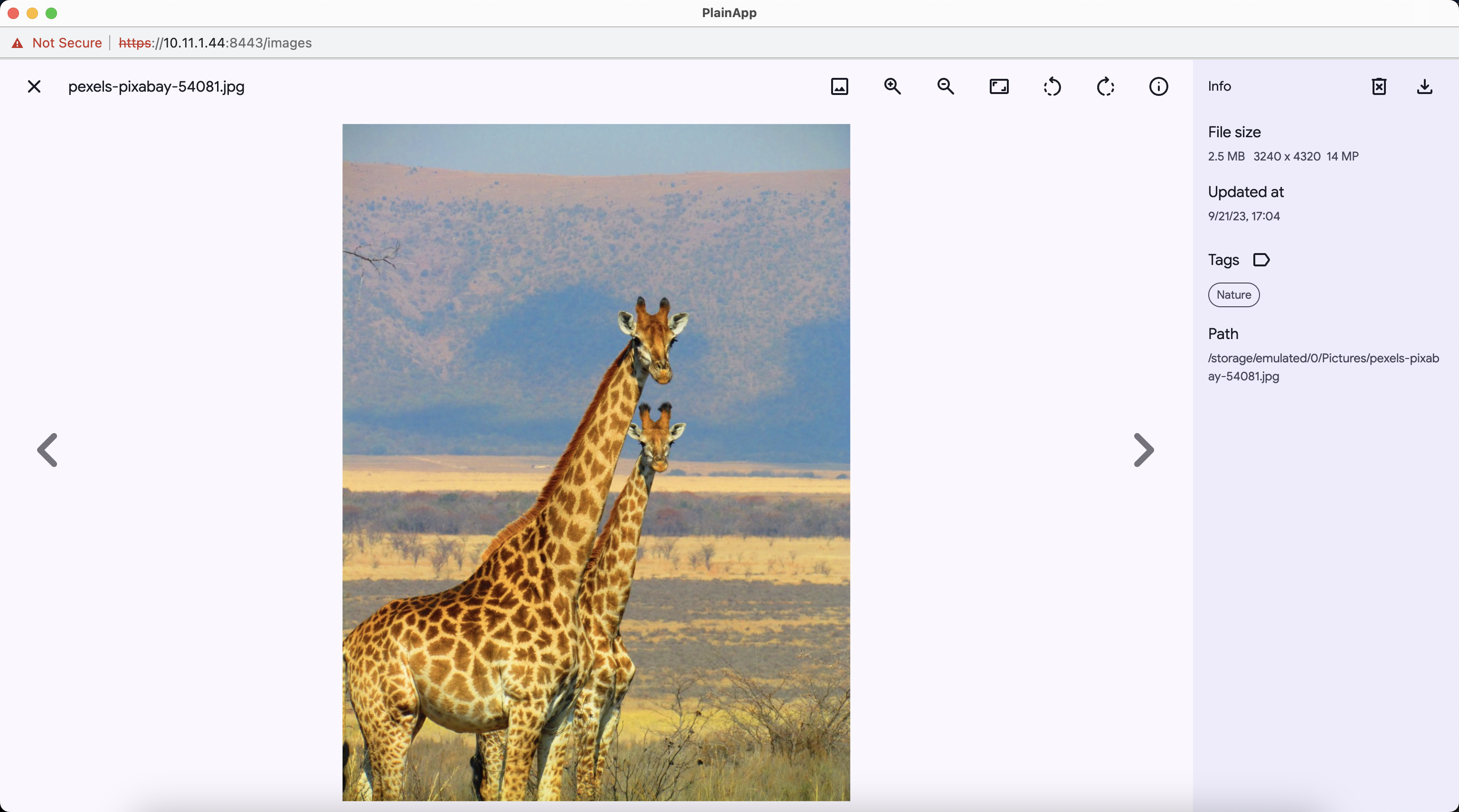 image viewer