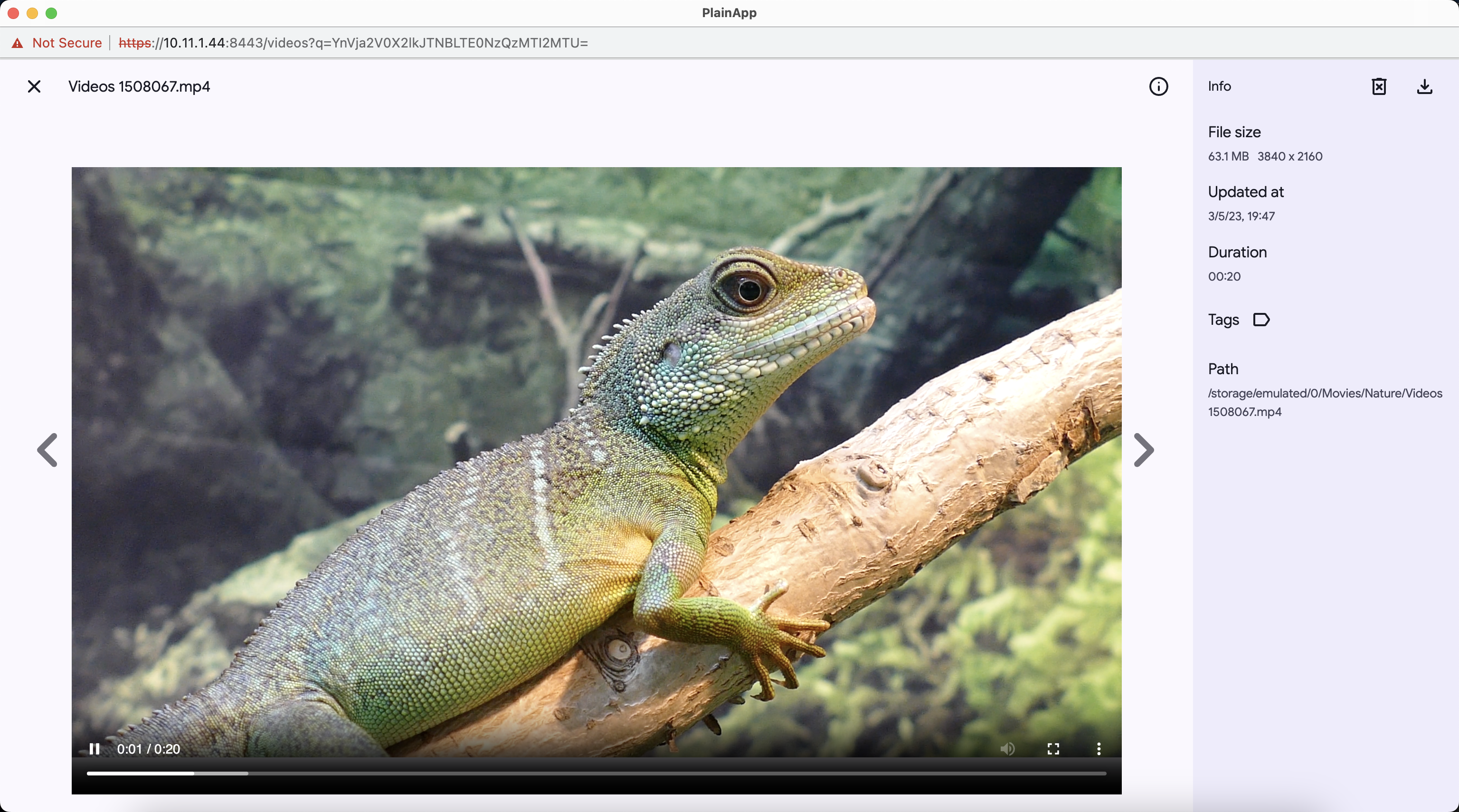 video player
