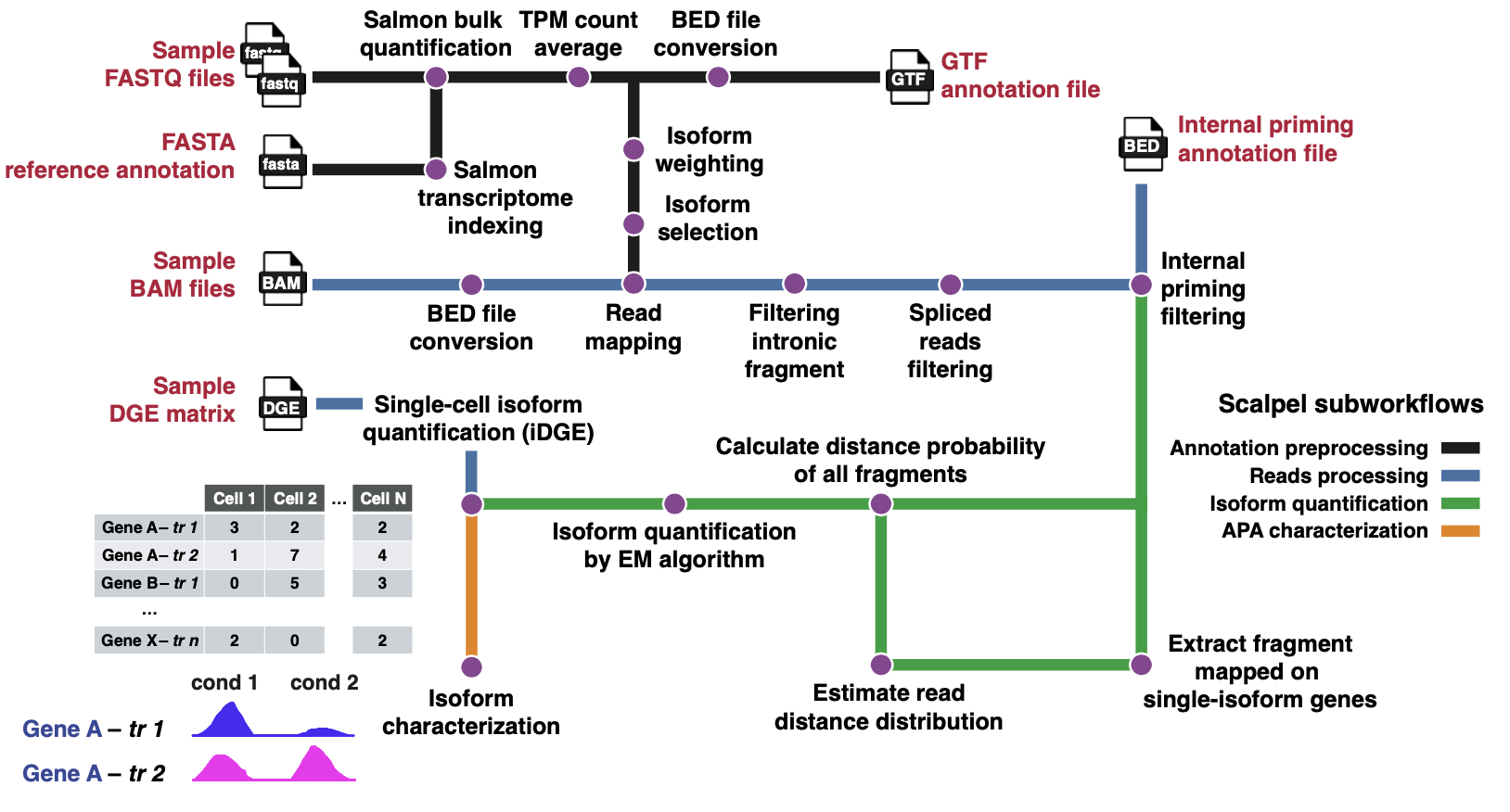 SCALPEL Pipeline Workflow