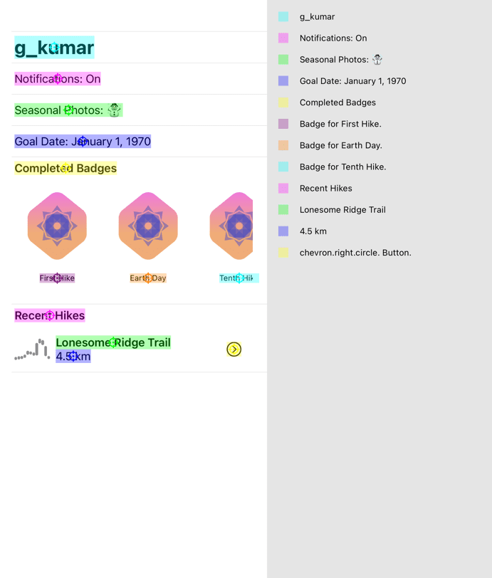 Accessibility Snapshot