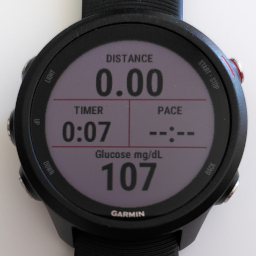 garmin datafield picture