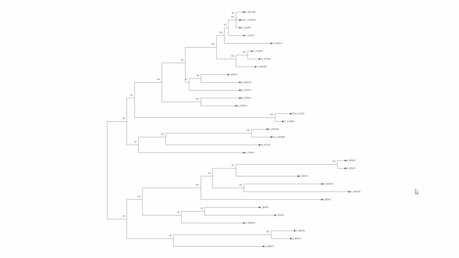 View usage-phylogeny on Github