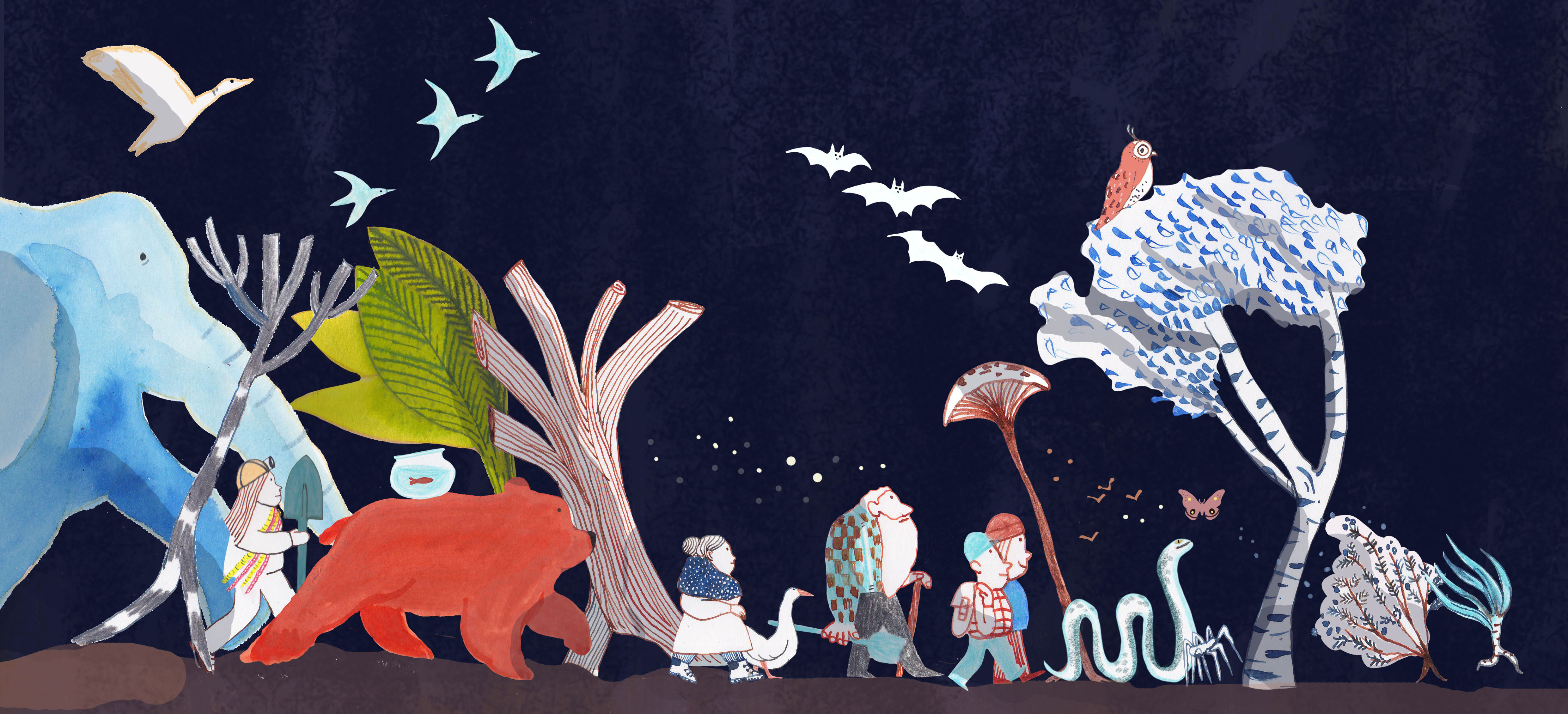 Paola Pappacena – Illustratrice e narratrice visiva