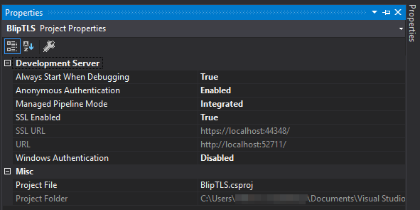 Visual Studio Development Server Properties