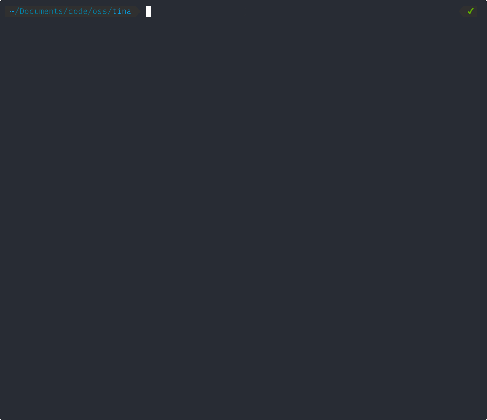 tcp echo demo