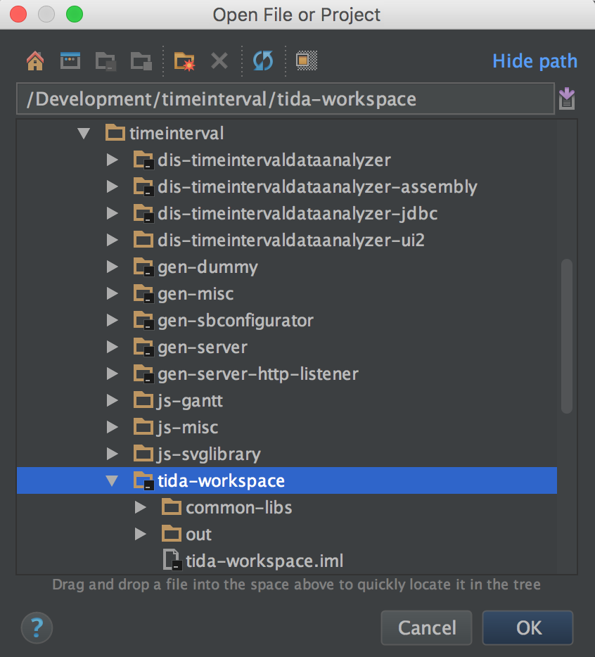 IntelliJ IDE (project)