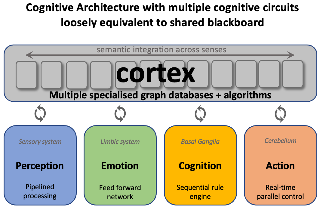 cognitive architecture