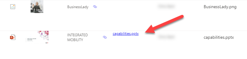 Open File as PDF preview