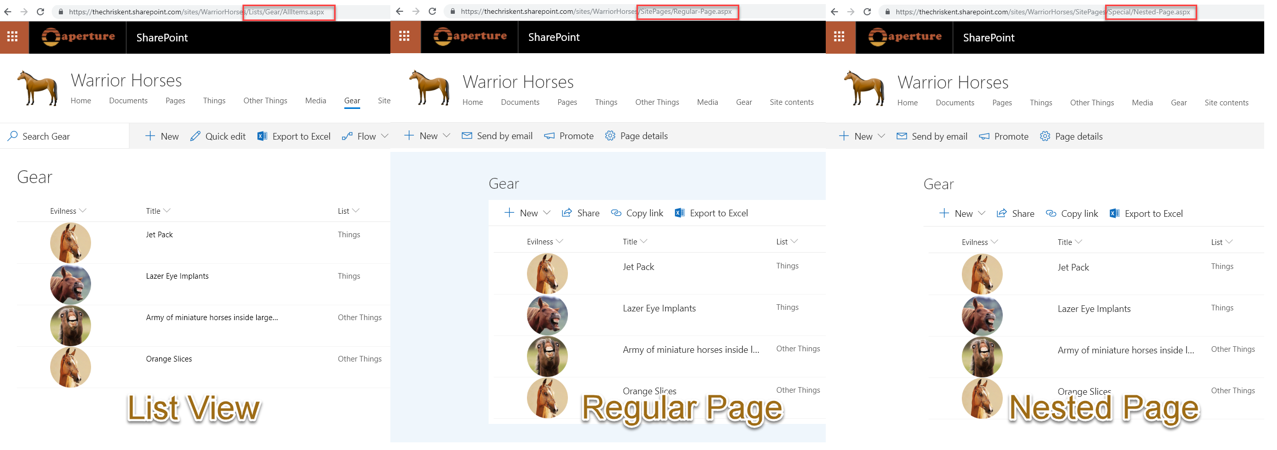 Reference a Local Image preview