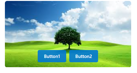 Image with Overlay Buttons preview