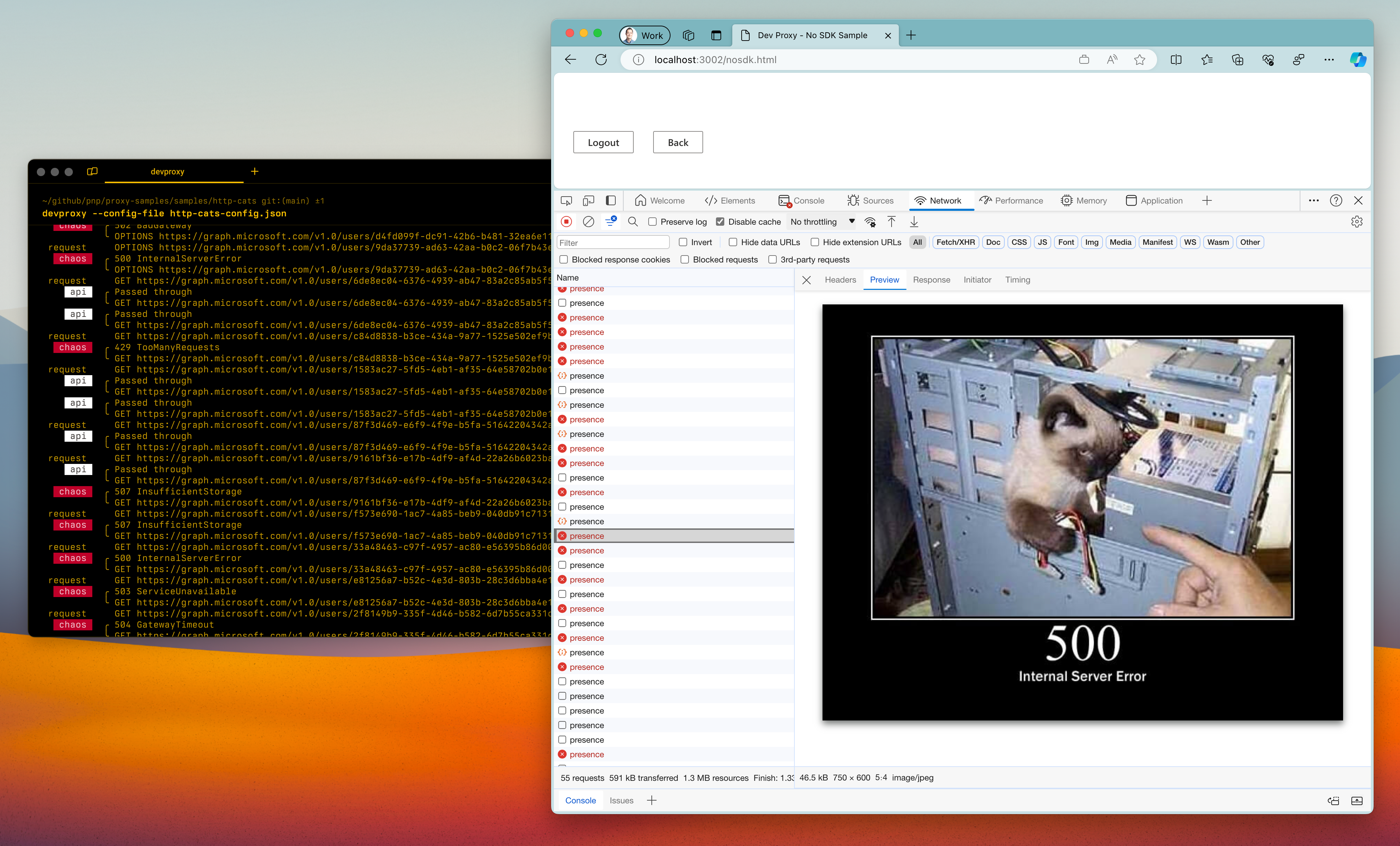 Dev Proxy simulating the 500 Internal Server Error error on Microsoft Graph with an image of a cat