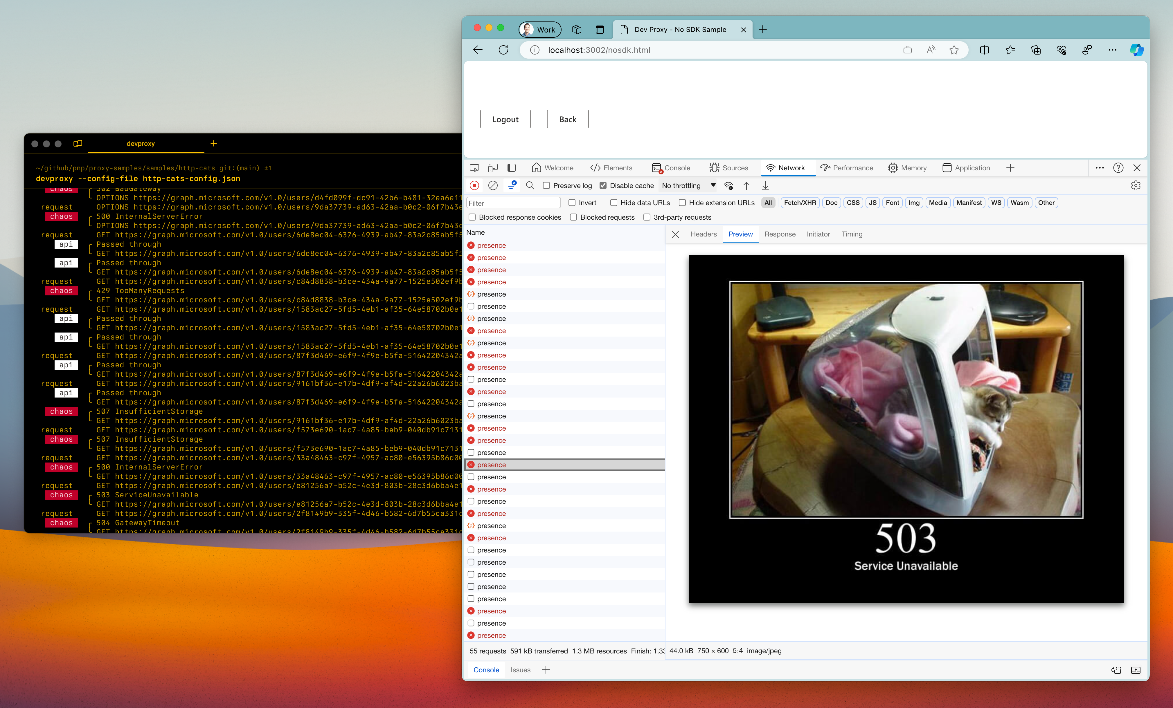 Dev Proxy simulating the 503 Service Unavailable error on Microsoft Graph with an image of a cat