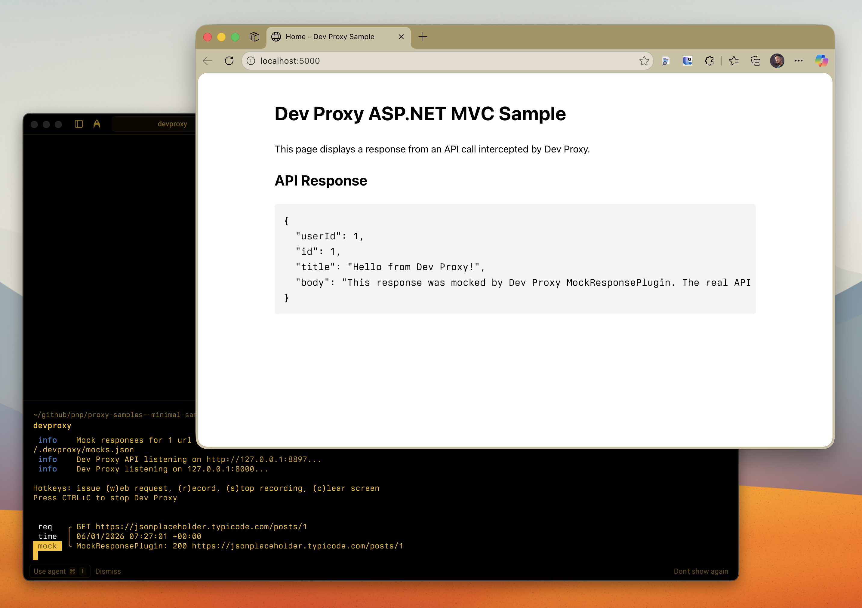 Dev Proxy mocking an ASP.NET MVC app API request