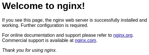 Nginx web page